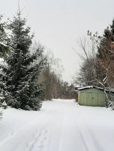 Деревня Буньково, городской округ "Ступино" Ноябрь 2023 года, первый снег. Фотография Татьяны Залата.