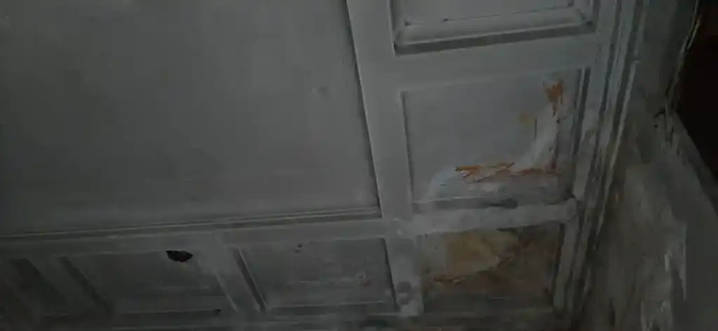 Потолок на заброшенном вокзале в Мякинино Ступинского городского округа. Август 2023 года. Фотография Залата Татьяны.