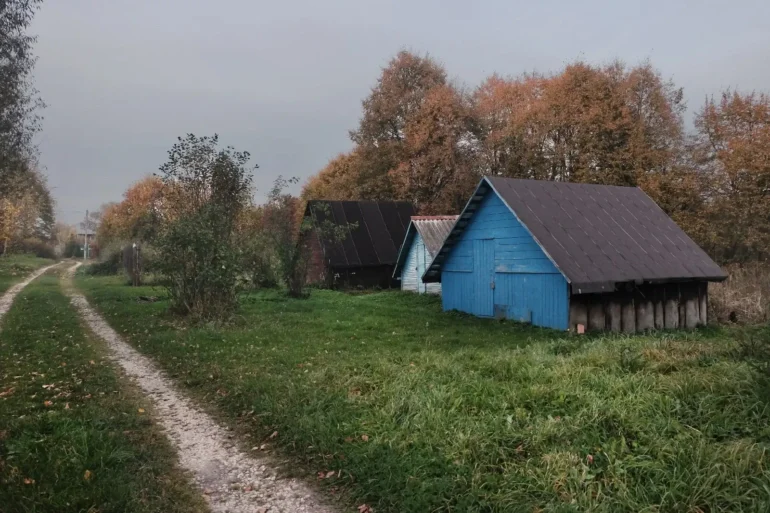 Сельское. Деревня Ананьино, городской округ "Ступино". Фото Анны Салтыковой. Фотопроект “Наличники”.