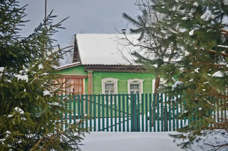 В деревнях Гридюкино и Вороново, ступинский район. Зима. Фотограф – Анна Салтыкова. Фотопроект “Наличники”.