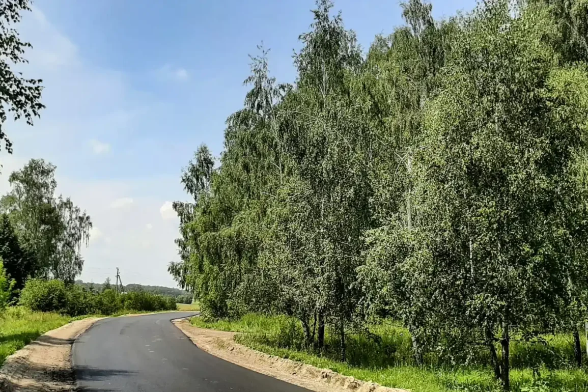Лес “Карьки” возле деревни Ламоново городского округа “Ступино”.