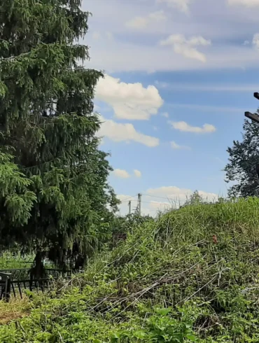 На сельском кладбище. Село Фёдоровское городского округа "Ступино". Фотография 2022 года. Из архива Залата Т. К.