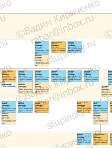 Родословная схема Кочергины (г. Коломна) на 17.05.2020 В. Ю. Кириченко.