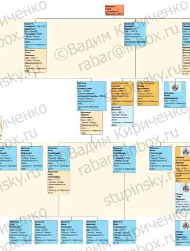 Родословная схема Крючковы (г. Коломна) на 17.05.2020 В. Ю. Кириченко.