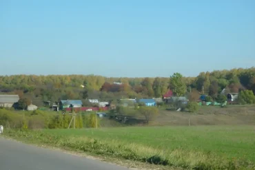 Вид на д. Ламоново Ступинского района, 2010 год. Из архива Залата Т. К.