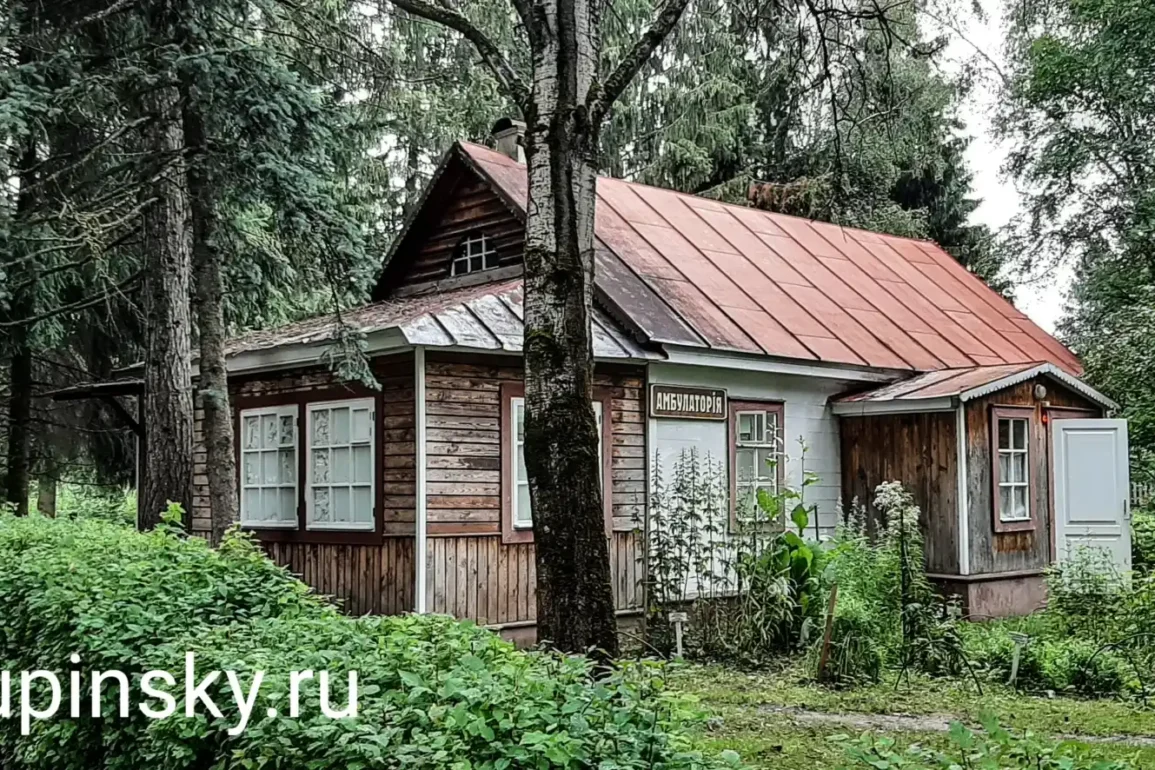 Сельская амбулатория в Мелихово.
