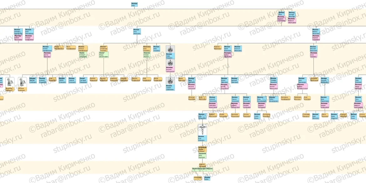 Родословная схема Миляевы (г. Коломна) на 06.02.2021 В. Ю. Кириченко.