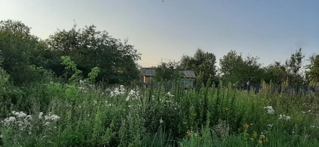 Дом в деревне Мякинино городского округа "Ступино". Бывший пристанционный поселок. 2023 год. Фото Залата Татьяны.