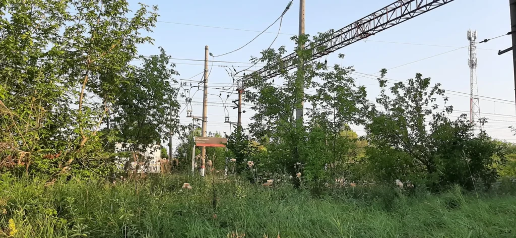 Остановочный пункт "Мякинино", август 2023 года. Фотография Залата Татьяны.