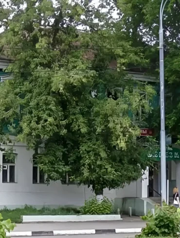 Город Озеры в 2008 году. Фото Залата Т. К.