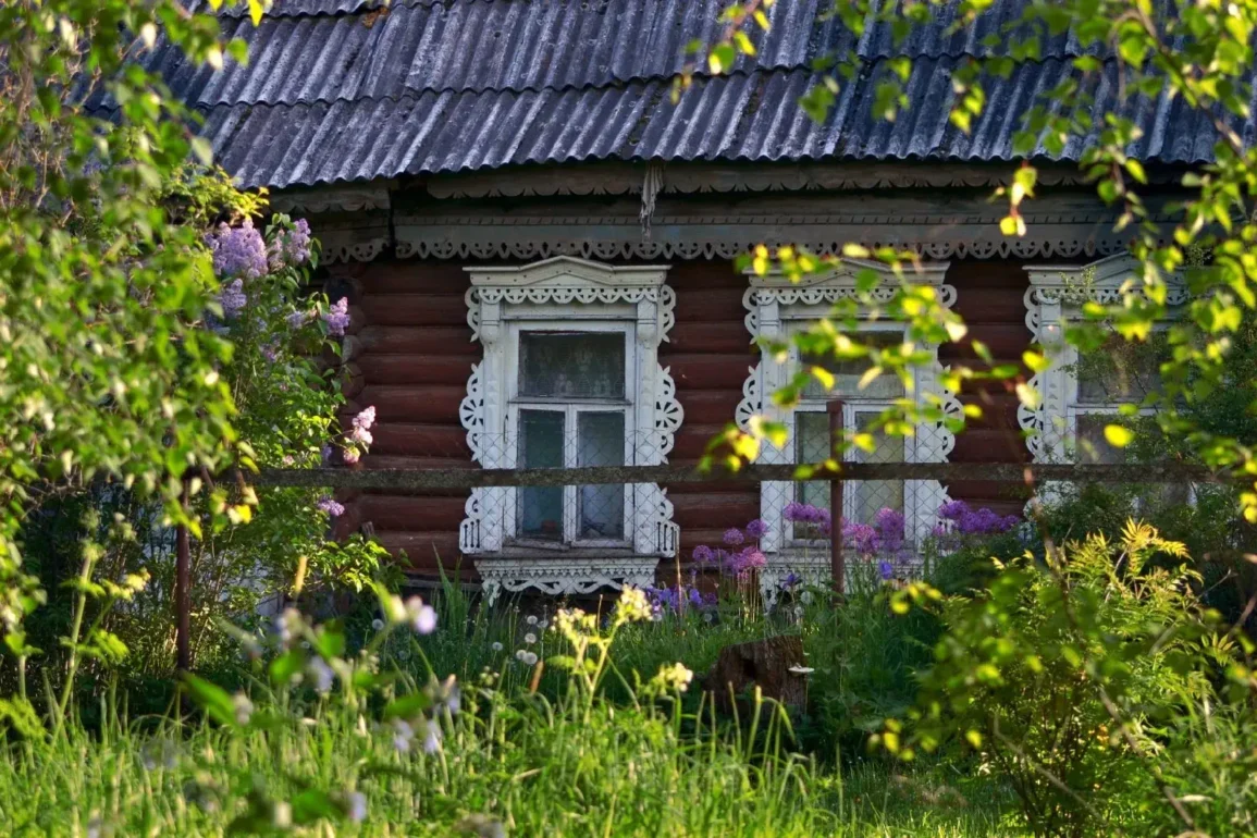 Полушкино, Ступинский городской округ (ступинский район). Лето. Фотограф – Анна Салтыкова. Фотопроект “Наличники”.