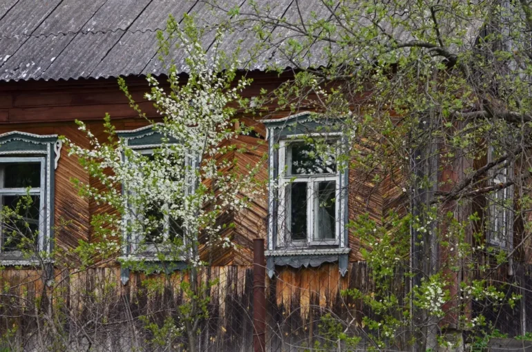 Весна в деревне Полушкино. Ступинский городской округ (ступинский район). Фотограф – Анна Салтыкова. Фотопроект “Наличники”.