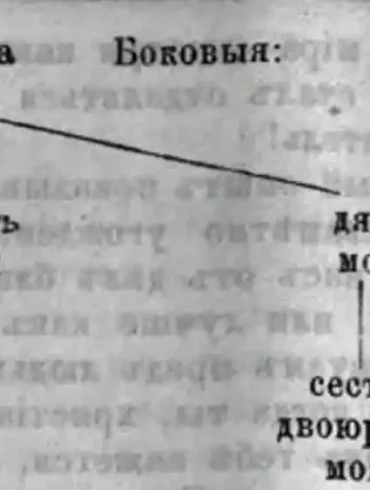 Родство однородное, или кровное родство. Боковое. Источник: Московские епархиальные ведомости, 1870, N 22.