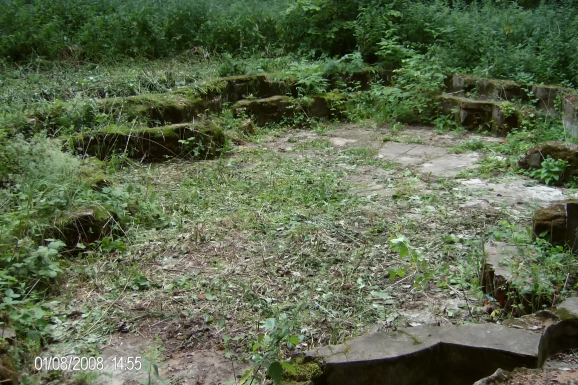 Фонтан (?) в усадьбе “Сенницы”. 2008 год. Из архива Залата Т. К.