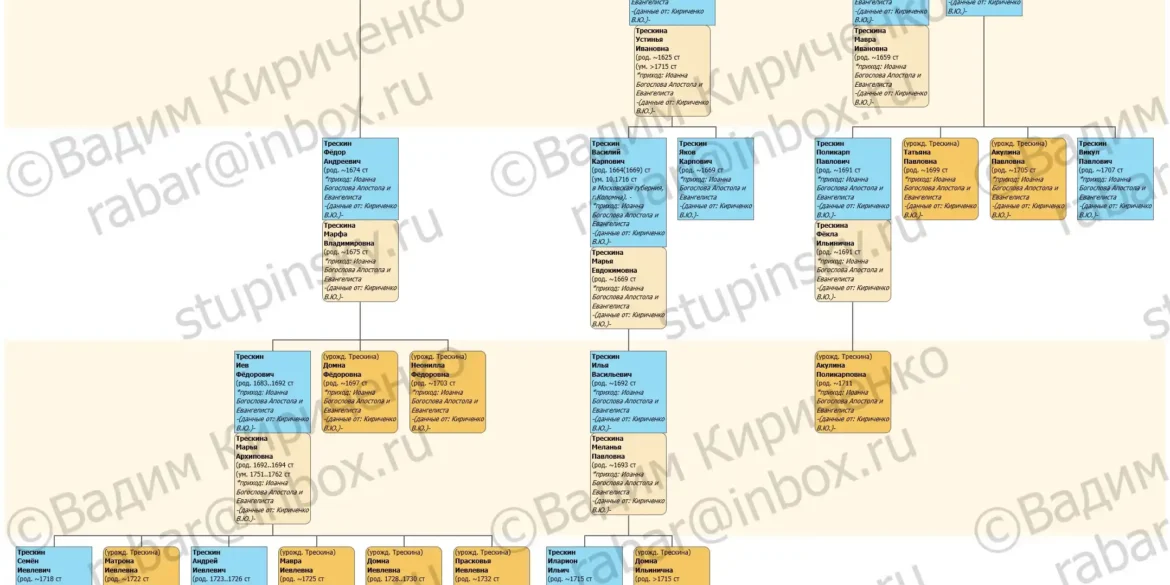 Родословная схема Трескины (г. Коломна) на 17.05.2020 В. Ю. Кириченко.