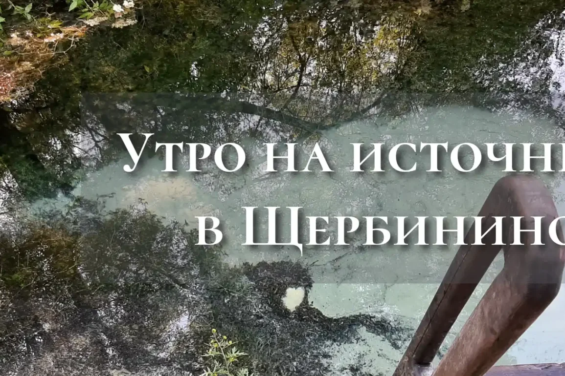 Утро на источнике в Щербинино, городской округ "Ступино" - Видео.