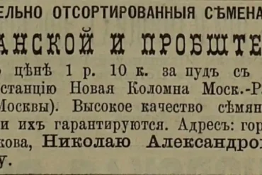 Коломна: объявления в дореволюционной прессе