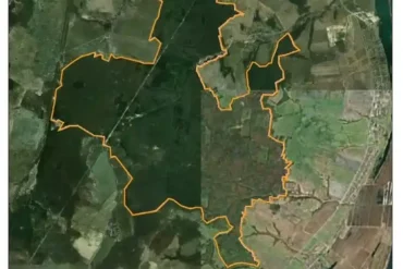 Карта Карасевской лесной дачи. Сформирована на сайте «ООПТ России» — http://oopt.aari.ru/oopt/.