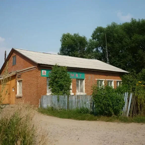 Продовольственный магазин (“Ступинское райпо”) в селе Старое Ступинского района. Фотография 2010 года, на 2023 год магазина уже нет. Фотопроект “Наличники”. Фотография Татьяны Залата.