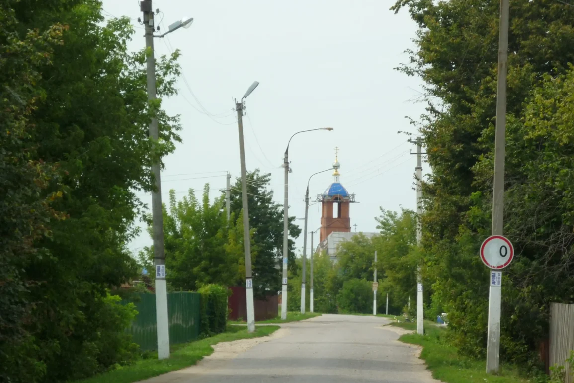 Улица села Большое Алексеевское Ступинского района. Август 2012. Фотография Татьяны Залата.