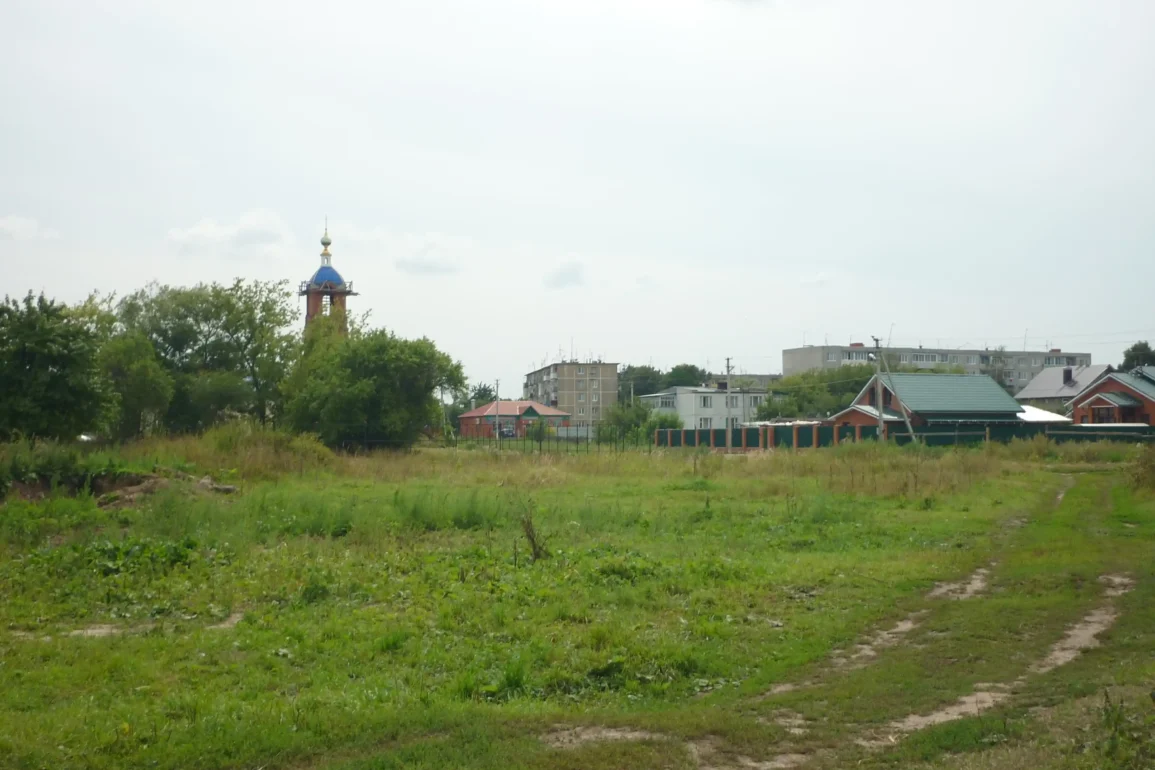 Общий вид на село Большое Алексеевское Ступинского района. Август 2012. Фотография Татьяны Залата.
