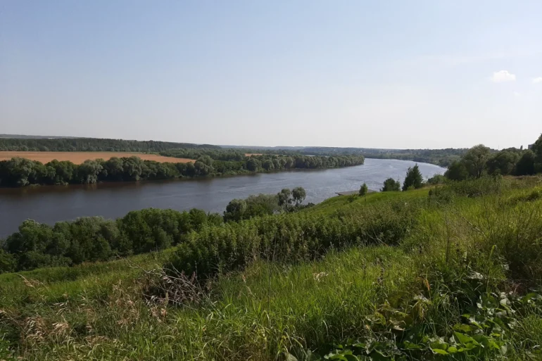 Река Ока в районе села Протопопово городского округа "Коломна". Июль 2024 года. Фотография Татьяны Залата.