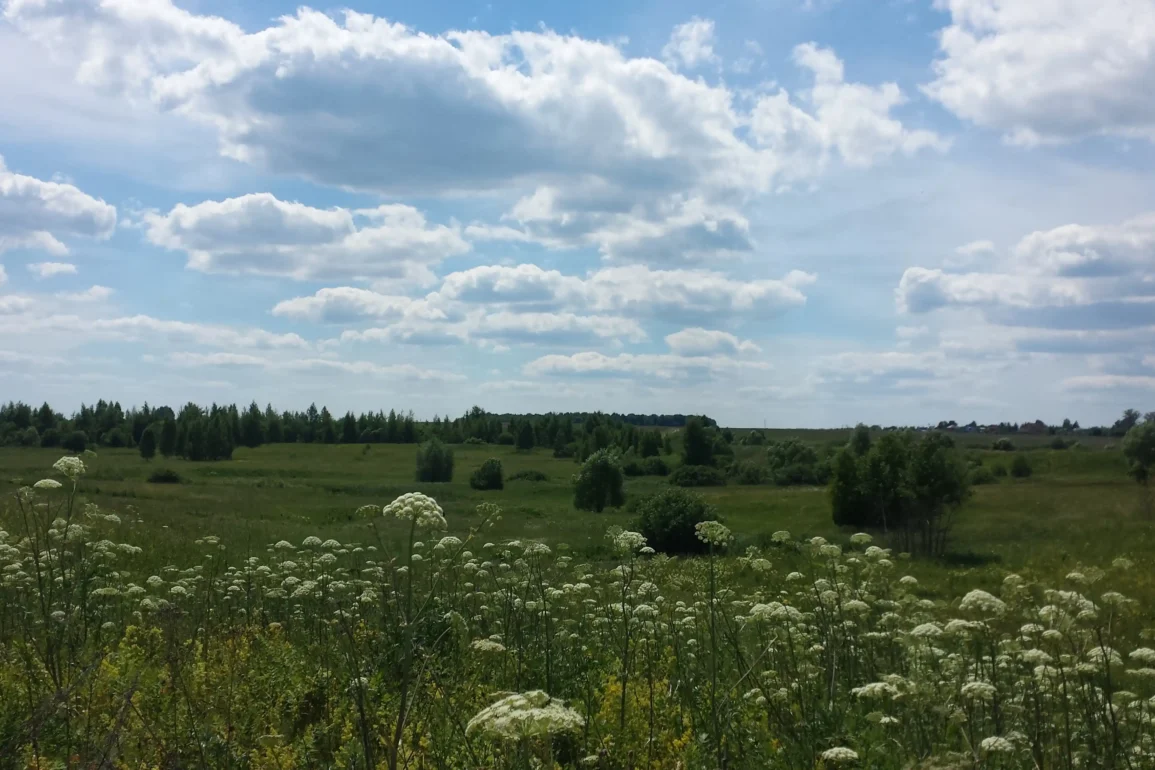 Деревня Сычево Коломенского района. Просторы и окрестности. Фотография 2018 года. Из архива Татьяны Залата.