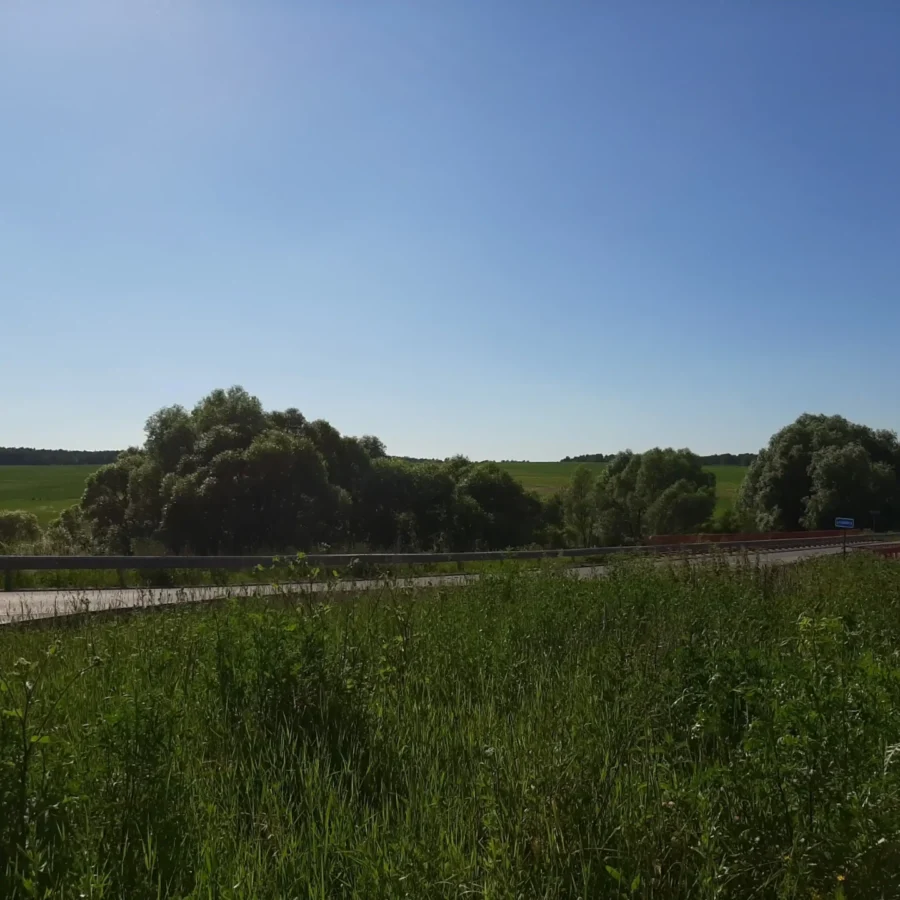 Река Каширка возле села Липитино городского округа "Ступино". Лето 2024 года. Фотография Татьяны Залата.