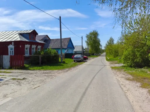 Улица в селе Сергиевское городского округа "Коломна". Фотография А. Галкина.