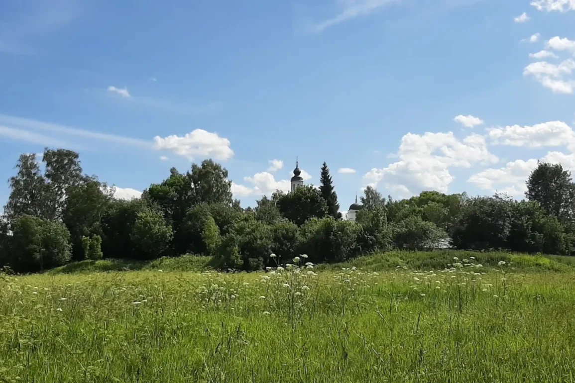 Село Федоровское городского округа "Ступино". Лето 2023 года. Фотография Татьяны Залата.