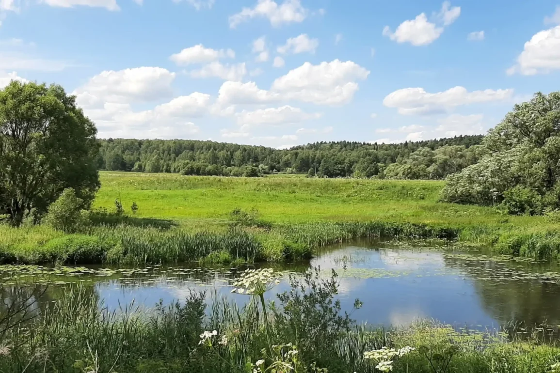 Река Северка у села Федоровское городского округа "Ступино". Лето 2023 года. Фотография Татьяны Залата.