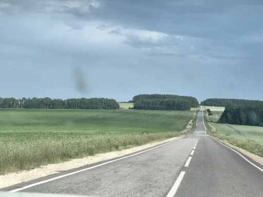 По дороге в деревню Голянка Новосильского района Орловской области. Фотография Татьяны Залата.