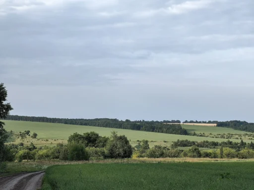 Вид на село Голянка Новосильского района и на долину реки Пшевки. Фотография Татьяны Залата.