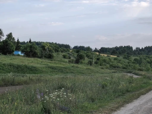 Мои просторы. Деревня Голянка Новосильского района Орловской области.