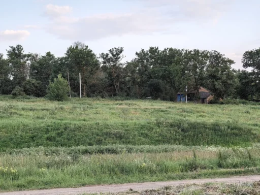 Здесь тоже дом моих предков. Дом Прилепских (Лахониных). Село Голянка Новосильского района Орловской области.