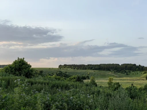Долина реки Пшевки. С. Голянка, Новосильский район Орловской области.