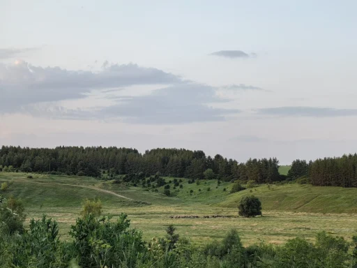 Овраги и лощины. С. Голянка, Новосильский район Орловской области.