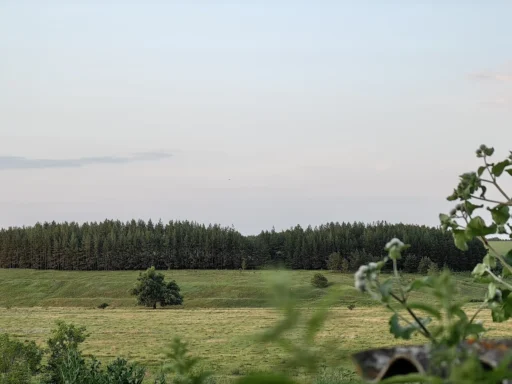 Сельский вечер. Село Голянка, Новосильский район Орловской области.