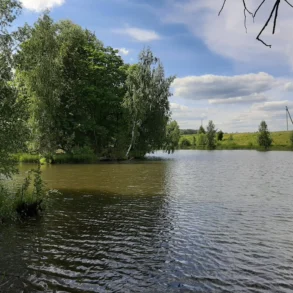 "Маменькин пруд" в Даровом. Лето 2019 года.
