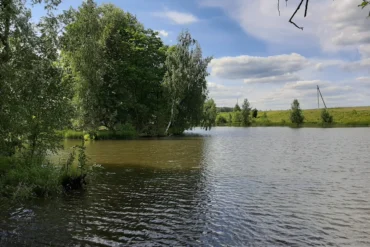 "Маменькин пруд" в Даровом. Лето 2019 года.