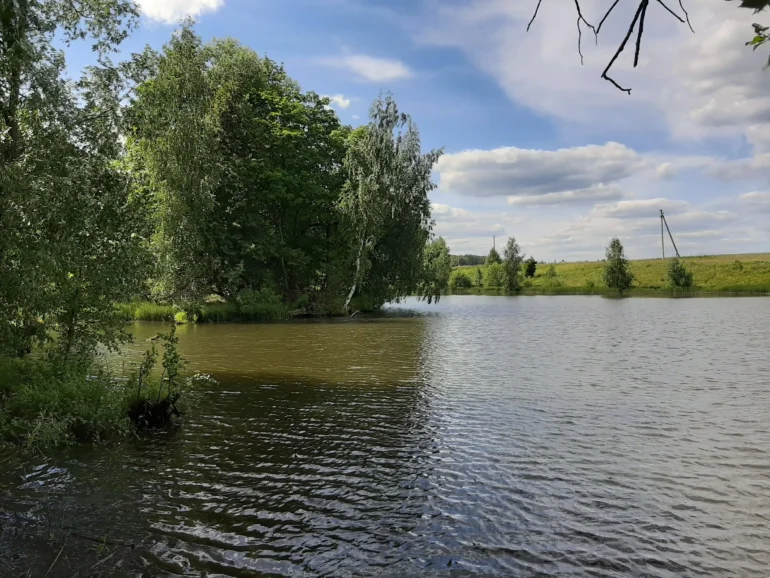 "Маменькин пруд" в Даровом. Лето 2019 года.