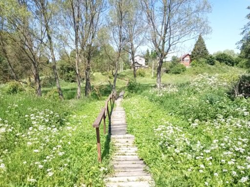 Мостки через заболоченную низину в с. Старое (около Ст. Ситни).