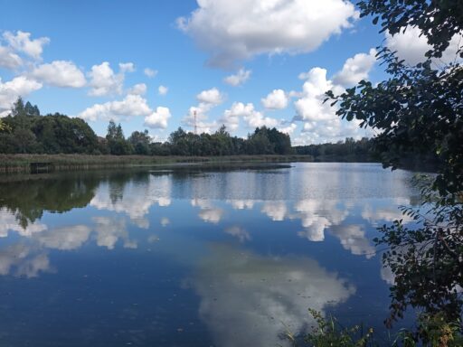 Церковь Рождества Пресвятой Богородицы в Вихорне ГО Ступино