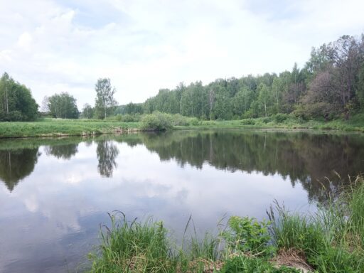 В урочище "Ягничево", г. о. Ступино.