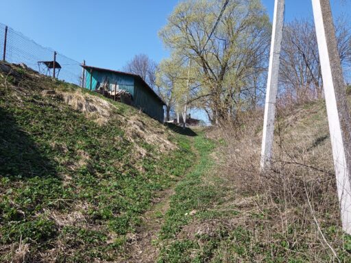 Родник юж. околица с. Новоселки (близ Шугарово) ГО Ступино