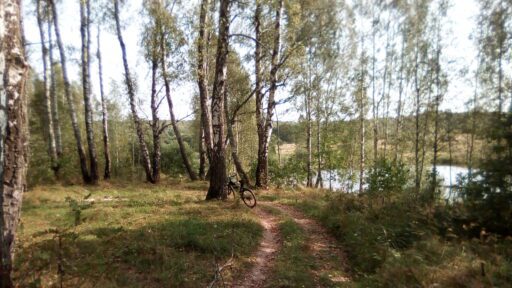 Урочище "Ягничево", г. о. Ступино.