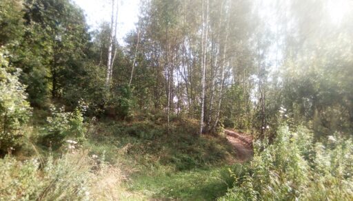Урочище "Ягничево", г. о. Ступино.