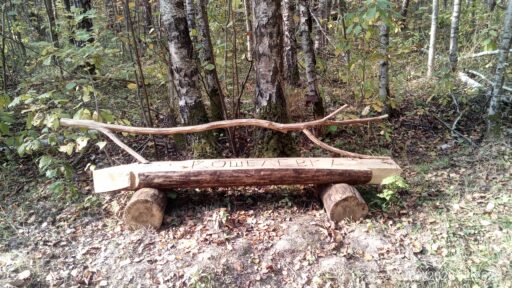 Урочище "Ягничево", г. о. Ступино.