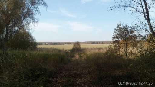 Урочище "Ягничево", г. о. Ступино.