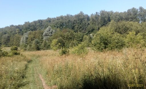 р. Городенка район с. Аксиньино ГО Ступино